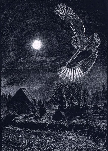 Иллюстрация