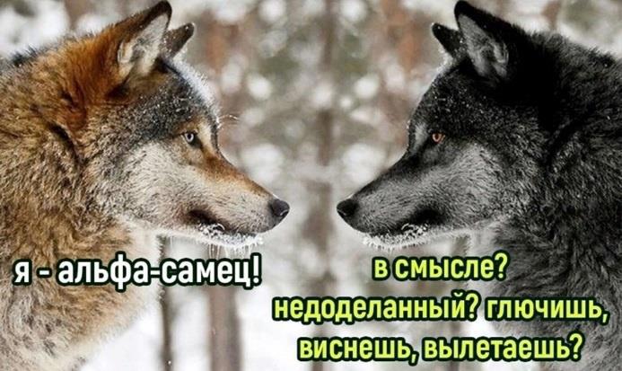 3d79371769d84b9b97a3fc9cc633172a.jpg