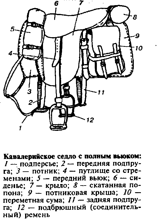 BMX-словарь