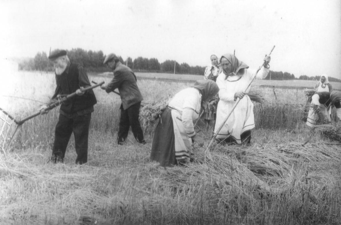 Книга Романцев – Романов Рог – Романово, Богоборческие времена, Раиса  Усович читать онлайн