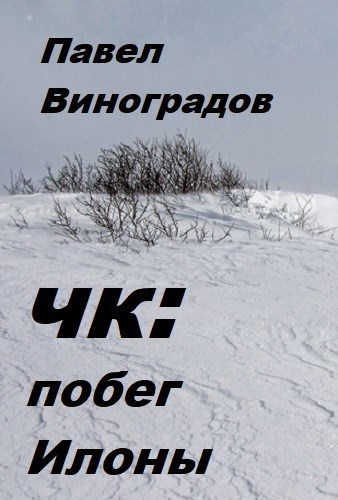 Обложка произведения Четвертый кодекс. Побег Илоны