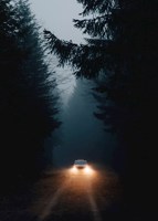 Обложка произведения Джеймс