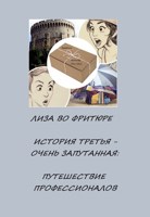 Обложка произведения Путешествие профессионалов. История третья, очень запутанная