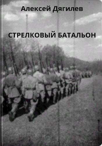 Обложка произведения Стрелковый батальон.