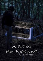 Обложка произведения Святых не кусают
