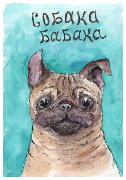 Иллюстрация