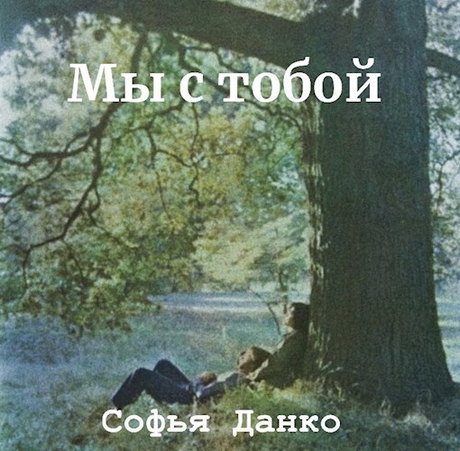 Обложка произведения Мы с тобой