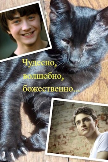 Обложка произведения Чудесно, волшебно, божественно...