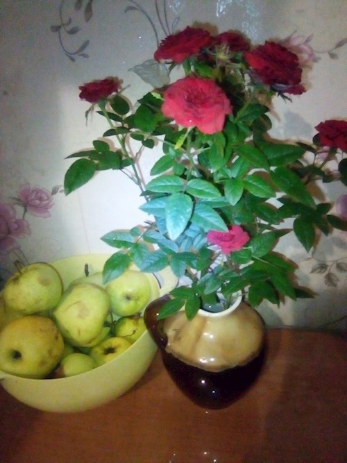 Обложка произведения Осень жизни.