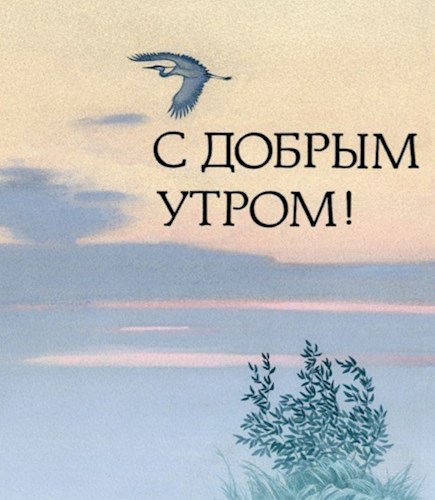 Обложка произведения С добрым утром!