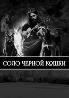 Обложка произведения Соло черной кошки