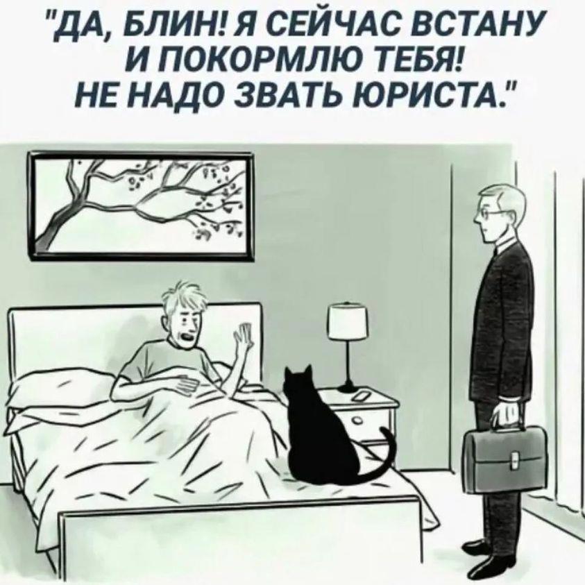 Пришел Покормить Кота Порно