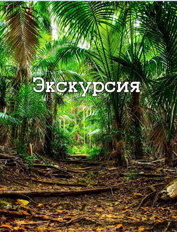 Обложка произведения Экскурсия