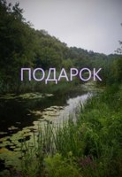 Обложка произведения Подарок