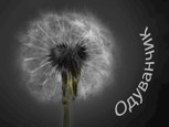 Обложка произведения Одуванчик