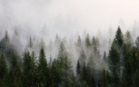 Обложка произведения Анабель