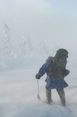 Обложка произведения Северный цикл. Сердце Севера