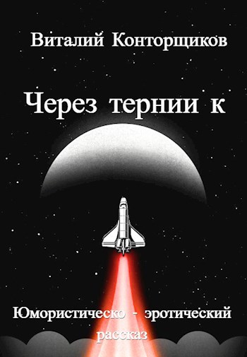 Обложка произведения Через тернии к ...