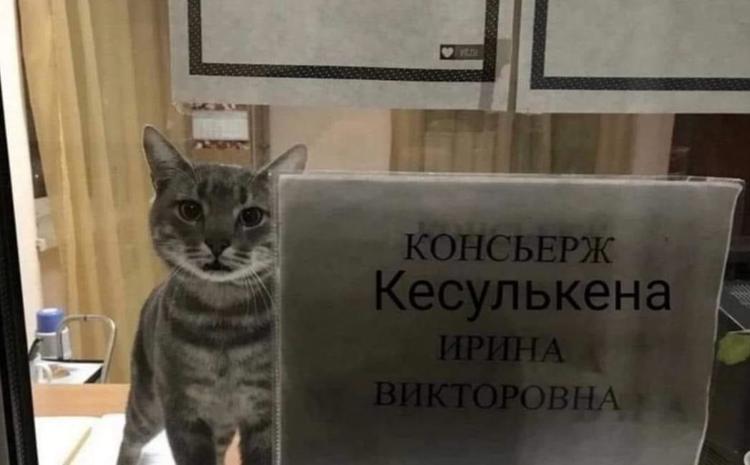 Консьерж в перми