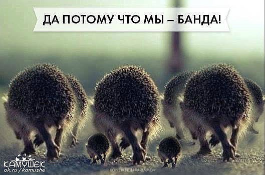Обложка произведения дВести-из-Тумана 3,- Перцы-из-Тумана