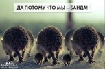 Обложка произведения дВести-из-Тумана 3,- Перцы-из-Тумана