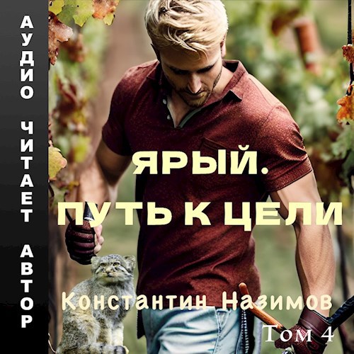 Обложка произведения Ярый. Путь к цели