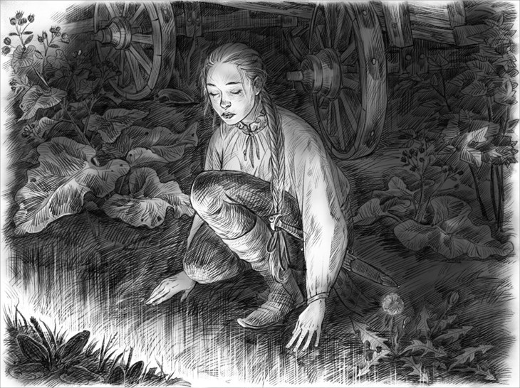 Иллюстрация