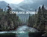 Обложка произведения Осколки жизни
