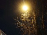Обложка произведения Великий никто.