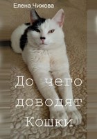 Обложка произведения До чего доводят кошки