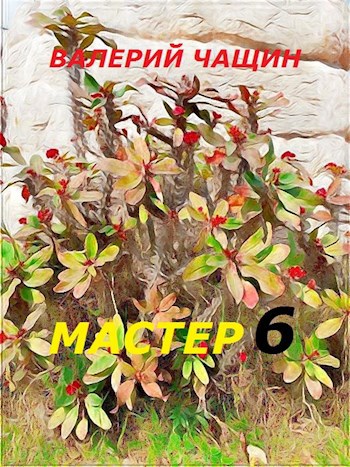 Чащин мастер 6