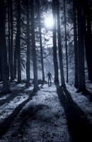 Обложка произведения Следуй за синими лентами