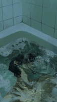 Обложка произведения "Тревожность и Меланхолия"