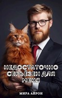 Обложка произведения Недостаточно серьёзен для меня