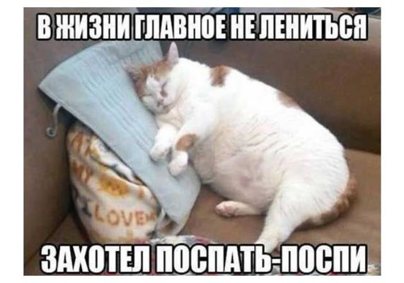 Степан Степанов @grossrodak - Комментарии