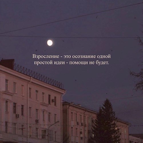 Обложка произведения Тайна Клуба Дубовых Листьев