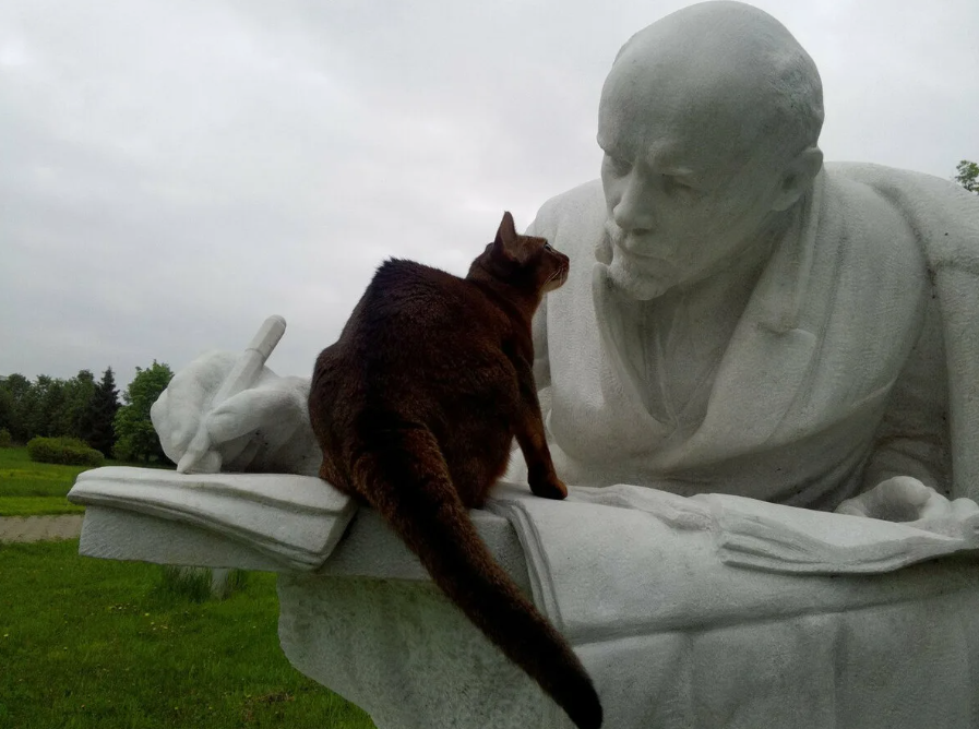 Котэ и Ленин / Константин Исмаев @ismaev_konstantin. Опубликовано: 22 ...