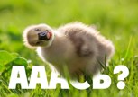 Обложка произведения Новые привычки