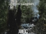Обложка произведения Лес