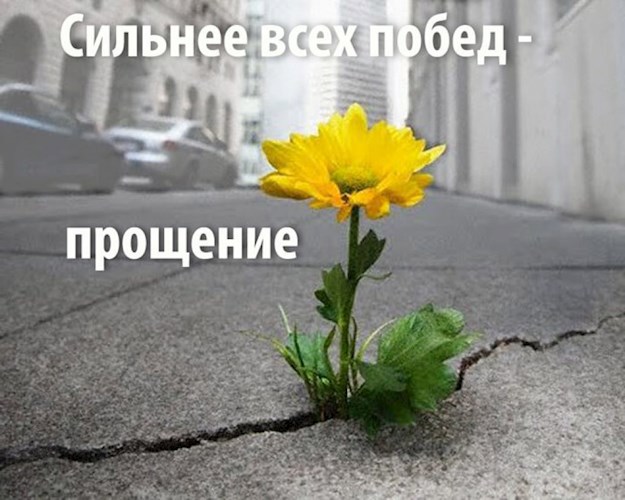 Обложка произведения Прости. ( Стихи 2024 года).