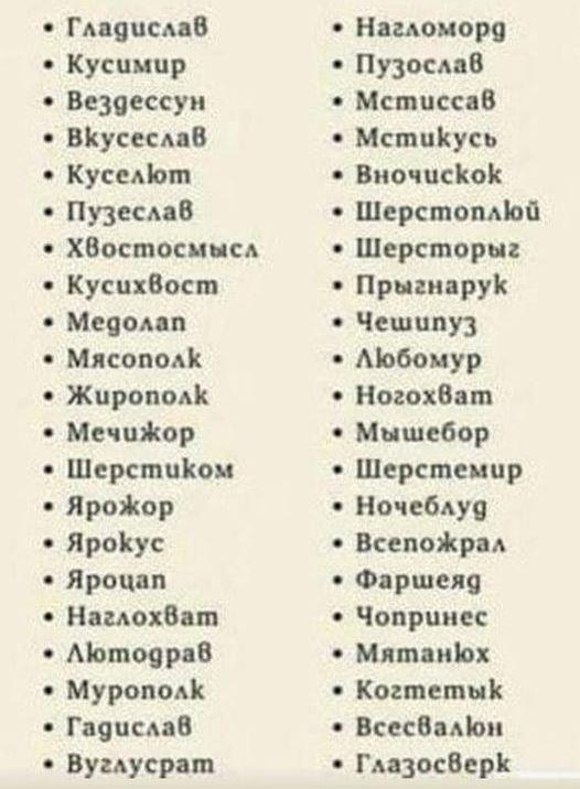 За имена котов / Бродяга @sashka_sashka0075. Опубликовано: 4 май. 2024 ...