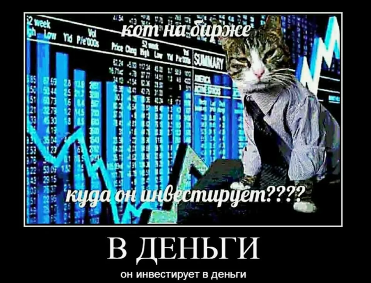 Кот дает деньги мем Котэ и рабы / Константин Исмаев
