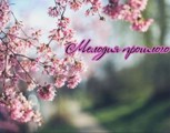 Обложка произведения Мелодия прошлого