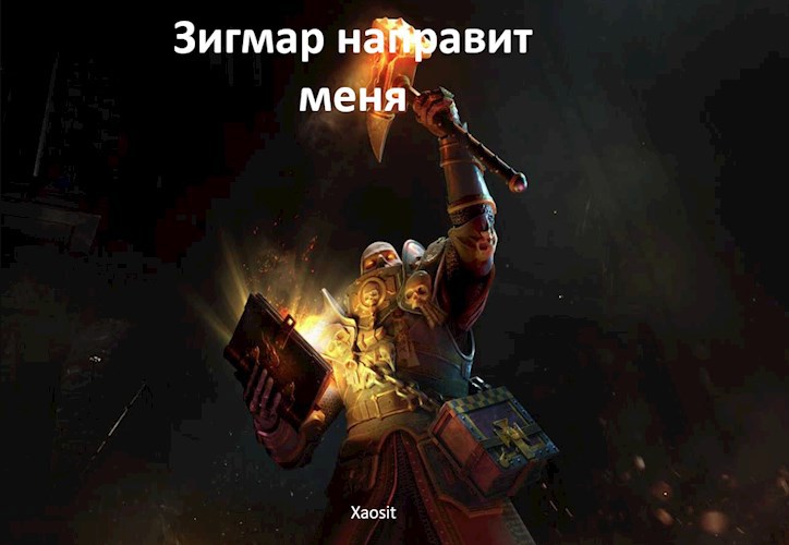 Обложка произведения Зигмар направит меня!