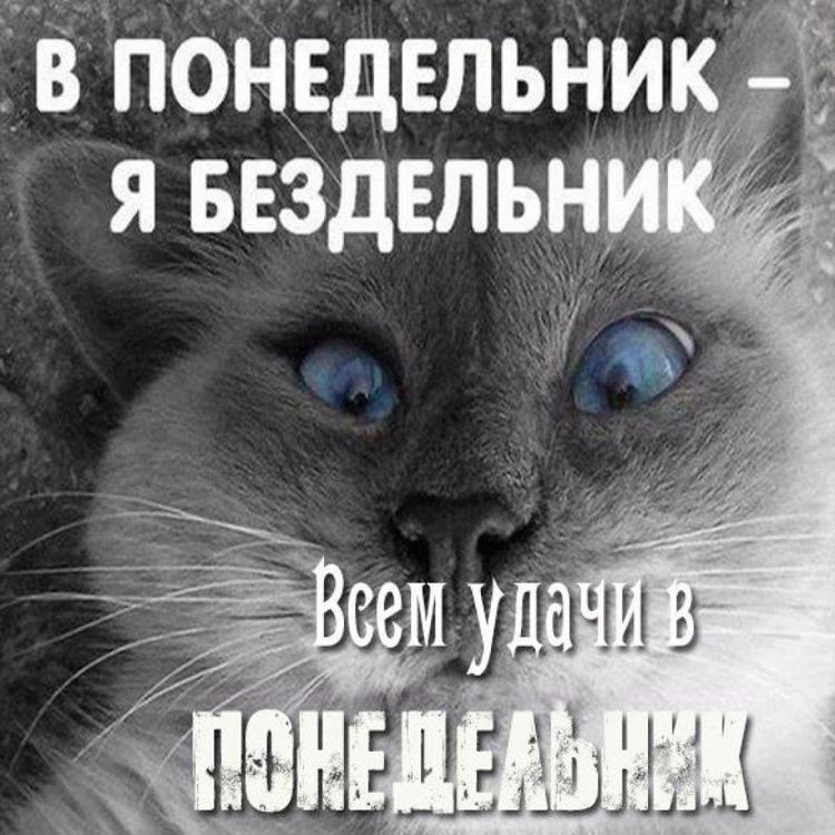 Я оставлю это Cдесь. (--) - ИЖ Москвич 412, 1,5 л, 1972 года запчасти DRIVE2