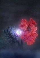 Обложка произведения Право на реальность