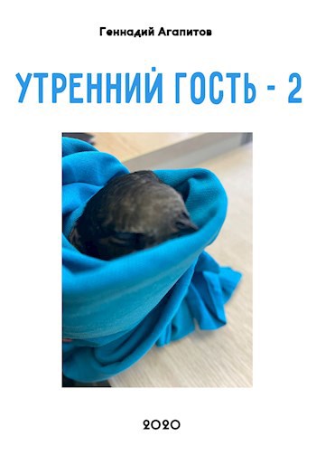 Обложка произведения Черный стриж или утренний гость - 2.