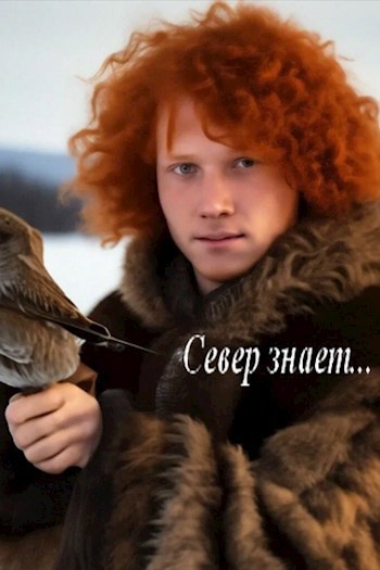 Обложка произведения Север знает...
