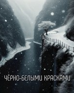 Обложка произведения Черно Белыми Красками