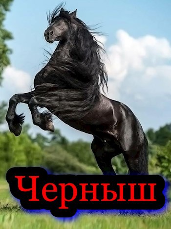 Обложка произведения Черныш